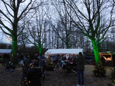kerst in leeghwaterpark (2)